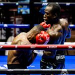 whatsapp image 2026 04 13 at 11.49.53 am